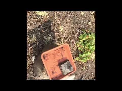 Der Ganz Normale Garten Wahnsinn Teil 2