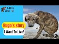 Do You Remember Hugo? This is Him Today! - Takis Shelter
