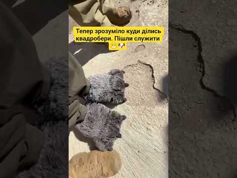 Куди ділись квадробери? #гумор #жарт #прикол #квадробер