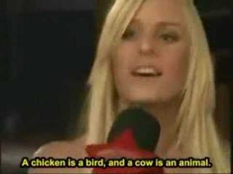 This Foreign Blonde is a Vegetarian