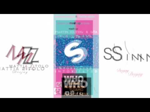 Martin Solveig & GTA - Intoxicated vs Tujamo&Plastik Funk - Who (Simone Sotgiu & Mattia Zitolo)