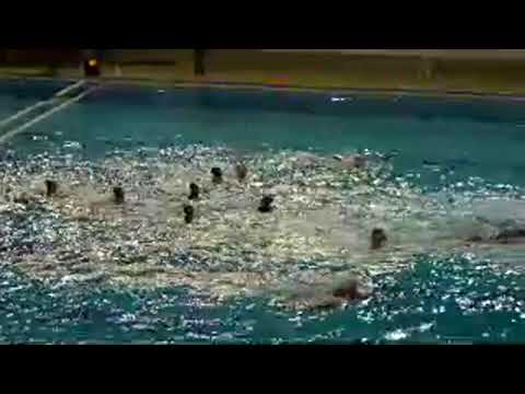 C.N.TERRASSA-ZV DE ZAAN