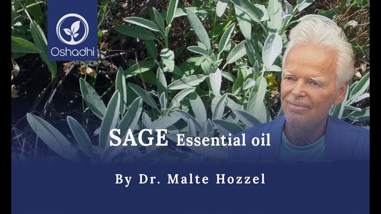 Sage | by Dr. Malte Hozzel - YouTube