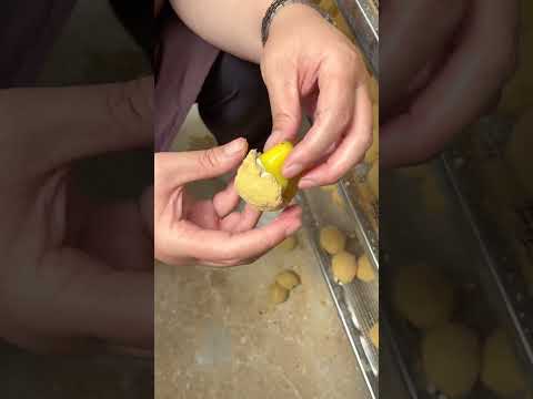 satisfying with delicious food #streetfood #deliciousfood #egg #like #ytshorts #food