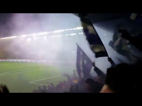 STVV-RSCA Smoke