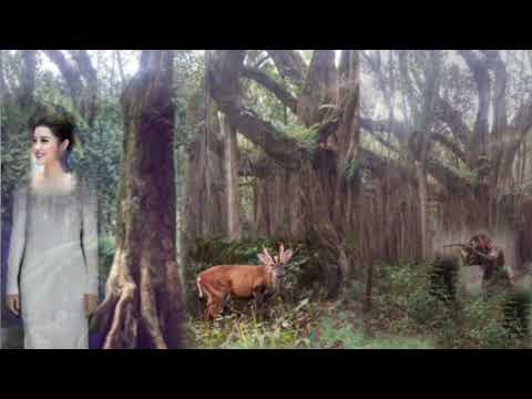 Pu LC-a  thil tawn ngaihnawm-1 ( In leh Ram hnuaia a thil tawn mak leh ngaihnawm)