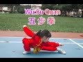 Five Stance Form 五步拳  (Wu Bu Quan) demo by Kyra Bao [Kung Fu / Wushu Changquan]