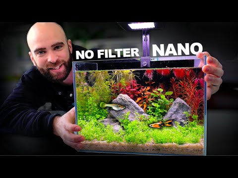 Nano Ecosystem Fish Tank You Can Put Anywhere!