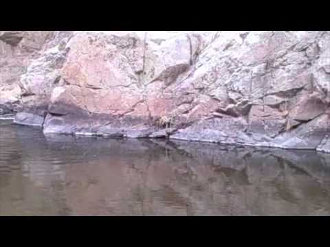 Luke Bryan TV 2010! Fishing Episode Ep. 5