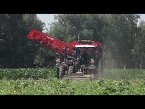 Dewulf RA3060 - 2-row self-propelled potato harverster