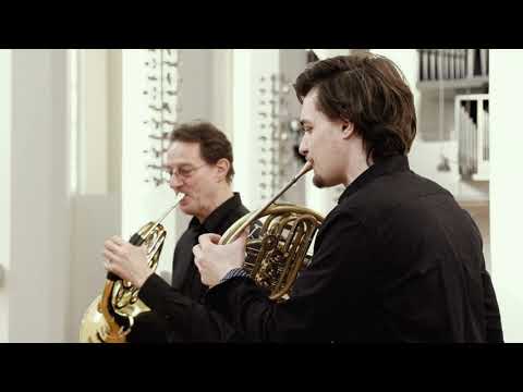 Strauss' Rondino mit dem BSOF-Hornquartett