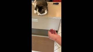 HOW TO REMOVE  A DRAWER FROM " HON" LATERAL FILE CABINET