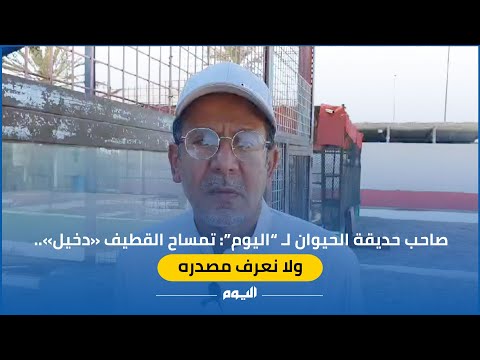"لا نعرف مصدره".. صاحب حديقة الحيوان يفجر مفاجأة عن تمساح القطيف