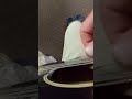 Fingerstyle