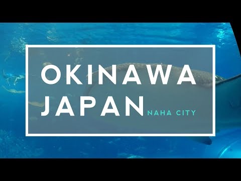 Okinawa Japan Travel Tips & Experience Part 1