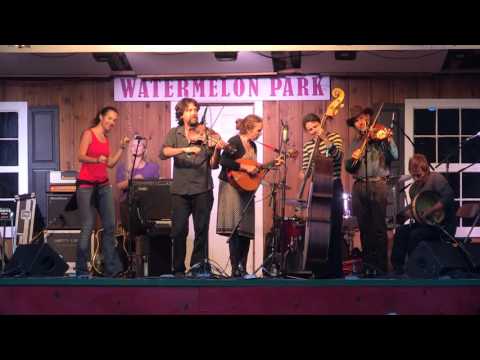 The Furnace Mountain Band at The Watermelon Park Festival 2015