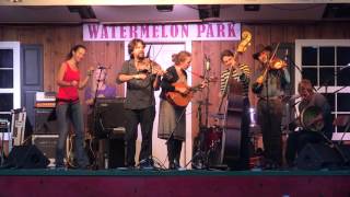 The Furnace Mountain Band at The Watermelon Park Festival 2015