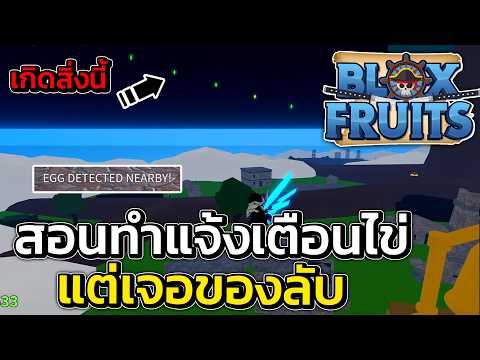 สอนทำแจ้งเตือนไข่ แต่ผมเจอของลับบนท้องฟ้า..! | Blox Fruits Roblox