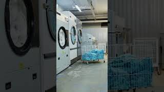 Carnival Passenger’s Tablecloth Request Gets Clear Answer From Cruise Line. #cruise #cruisenews