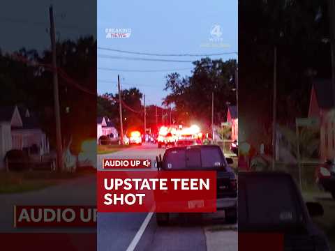 South Carolina Arrest Org Sc