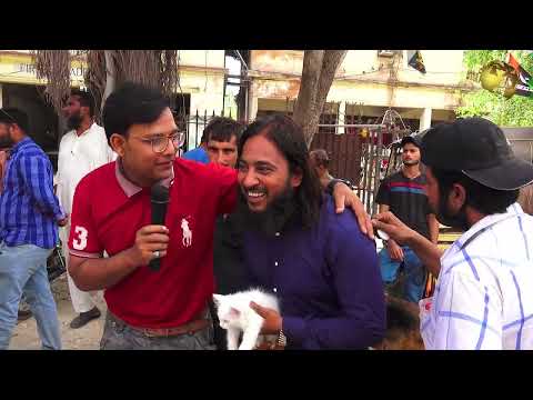 Saddar Dogs Market Karachi 4-9-2022 | Rare and Unique Dogs