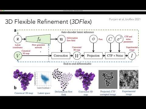 CryoSPARC 3D Flexible Refinement Tutorial