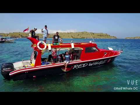 Red Whale Dive Center in Komodo