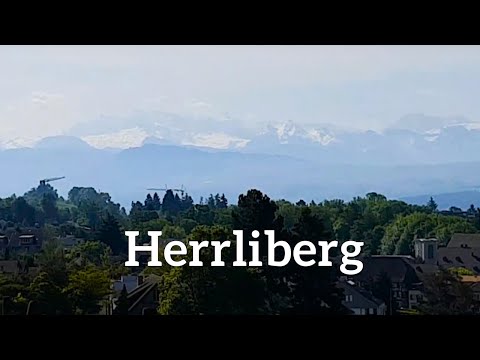 Herrliberg - amazing view of lake Zürich and the alps