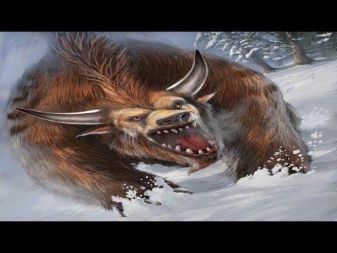 Feral Druid 3v3 Arena 4.3 "Hairy Man Cleave" | NonEliteGaming