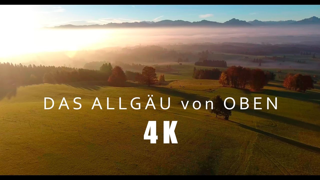 https://www.youtube.com/embed/o1tOrM_it2Q