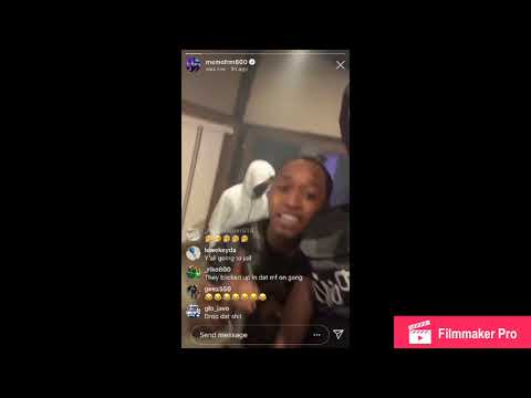 Memo600 and Timo In the studio cooling with CT savages