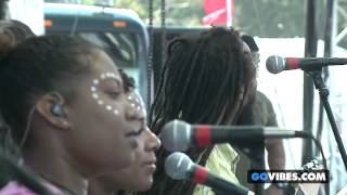 Ziggy Marley performs "I Get Up" at Gathering of the Vibes Music Festival 2014