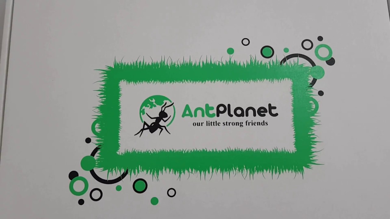 Обзор муравьиной фермы AntPlanet