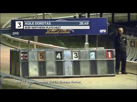 2019 BGBF NORTHERN PLATE - HEAT 6 - T3 AGILE DOROTAS