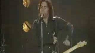 piccola città eterna live ligabue palasport torino