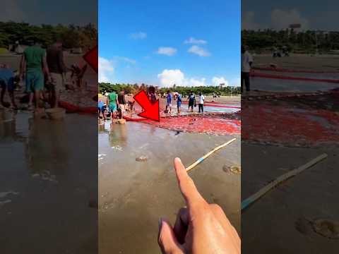 ELE FEZ UMA BOA AÇÃO. 🙌💖 #SHORTS #INCRÍVEL