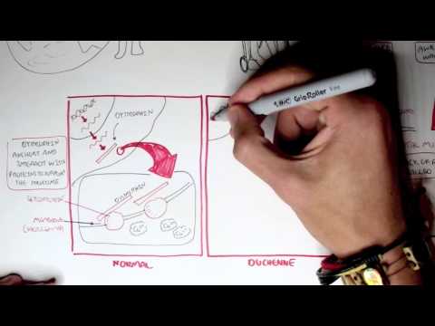 Cancer Introduction I