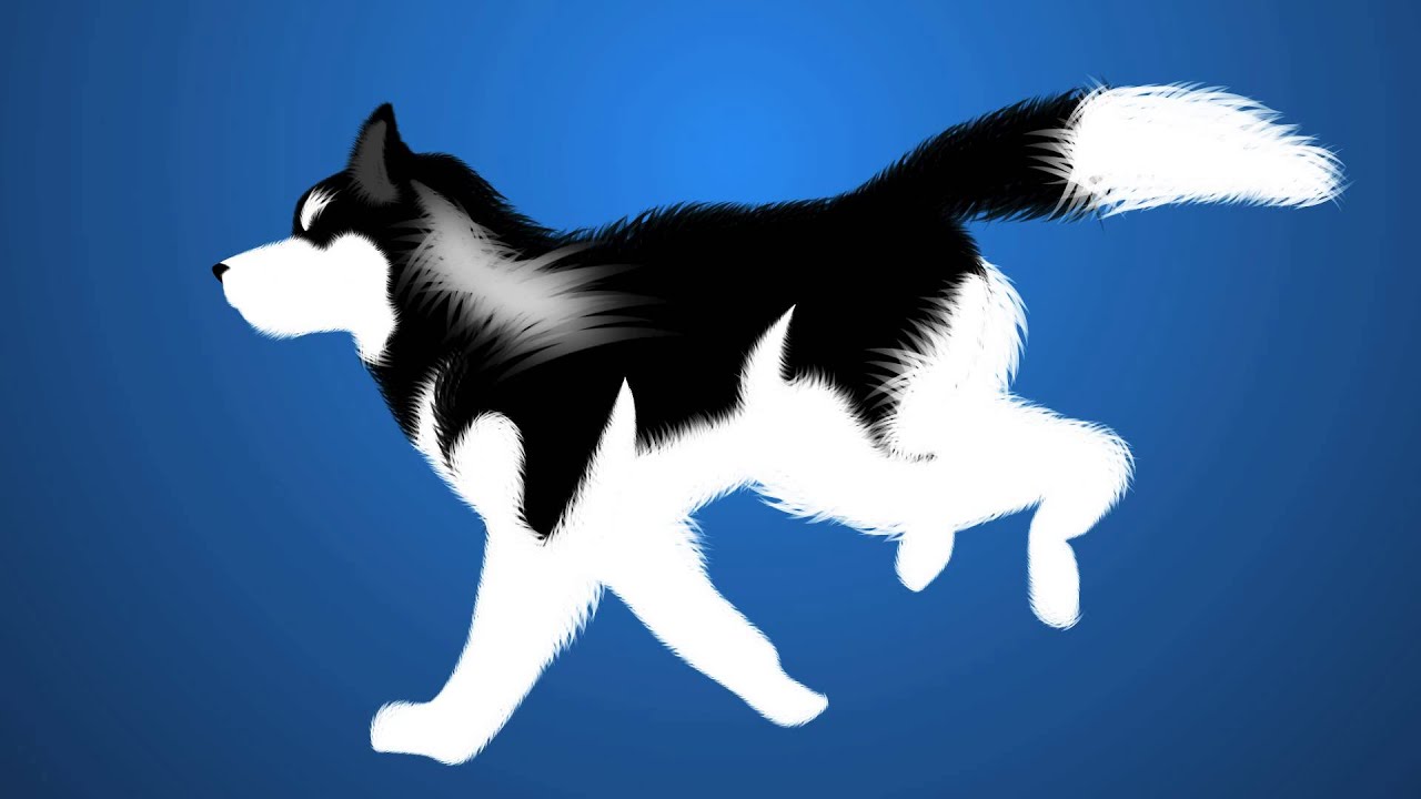 Running Husky