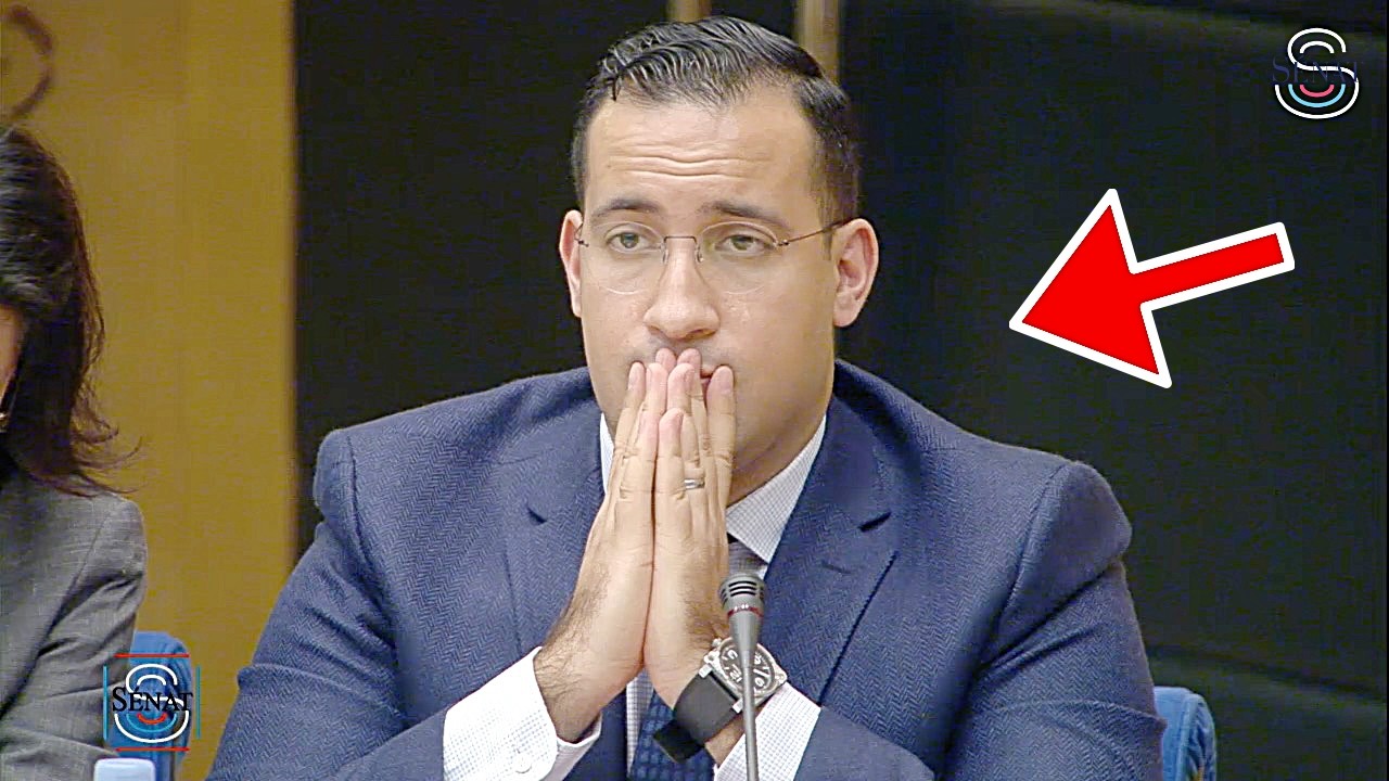 Illustration: Affaire Benalla : l'ancien collaborateur de l'Élysée refuse de répondre aux sénateurs