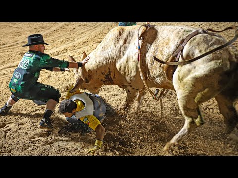 Rodeio da EMAPA de AVARÉ / FNR 2025 (QUINTA / MELHORES MOMENTOS)