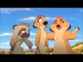 El Rey Leon 3 Timon El Centinela