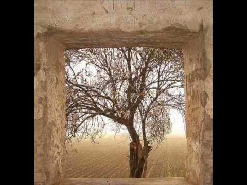 David Saizar - Vuelve tus pasos