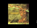 02 Ni De Oro Ni Goldfield   Canserbero 2009