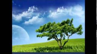 Mario Lopez - The Sound Of Nature - Part II