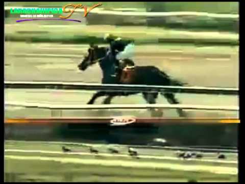 LA RINCONADA 5 CARRERA DOMINGO 06 DE JULIO DEL 2014