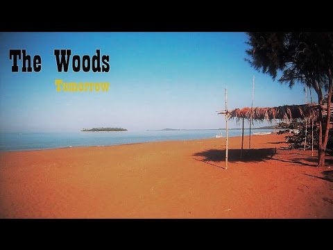 The Woods  - Tomorrow