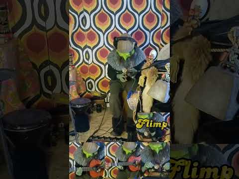 Flimp - Repertorium 001