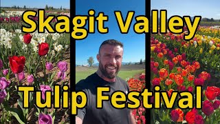 Millions of Blooms! Skagit Valley Tulip Festival Tour #tulipfestival #amsterdam #tulip #festival gameplay video by alucas, 13:42 duration