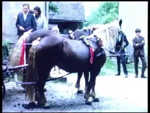 Feuerwehr und Kameradschaft Michaelbeuern 1962/63