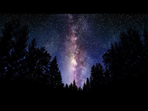 Human Movement Feat. Sophie Moleta - Healing (Reprise Mix)